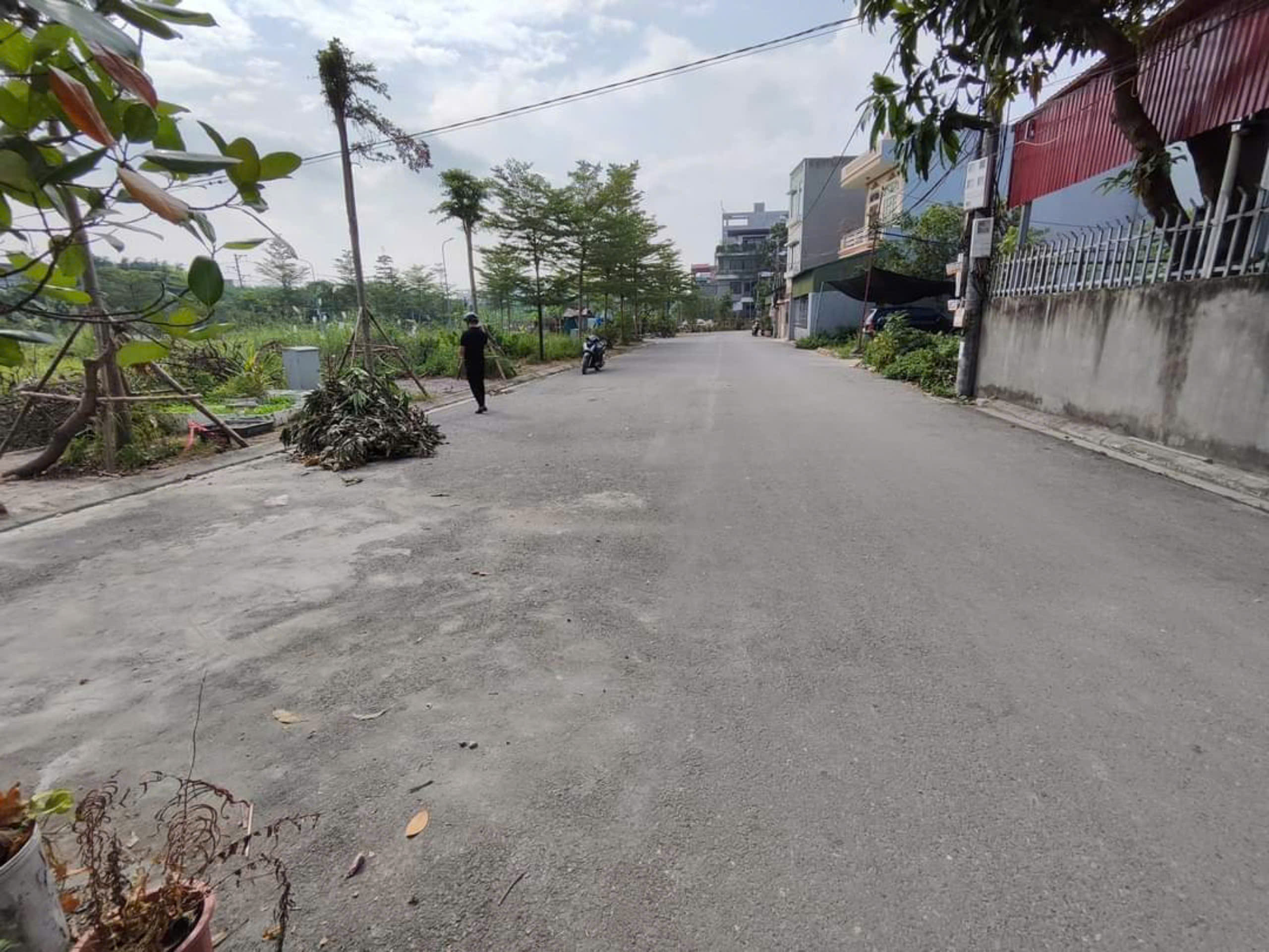 ✅ Bán đất đấu giá X5 Nguyên Khê Đông Anh - 88m - Mặt đường 15m - Ảnh 1